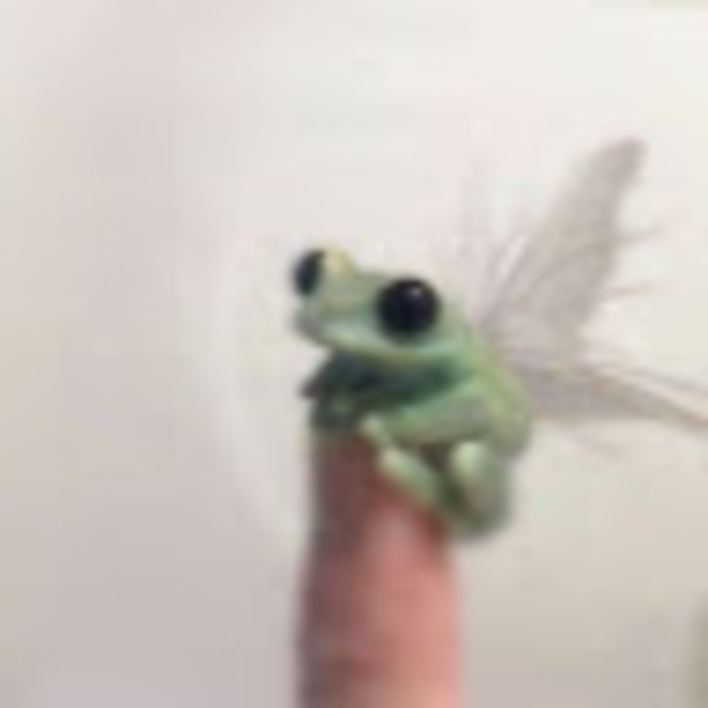 Meet your Posher, Kenna grace